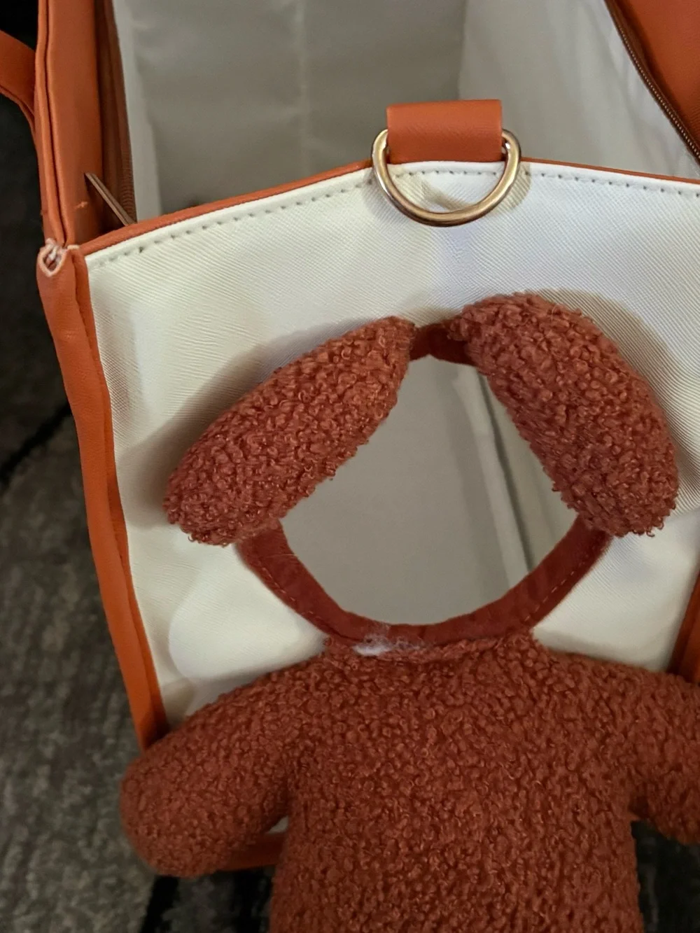 Orange dog carrier Bag with White Interior